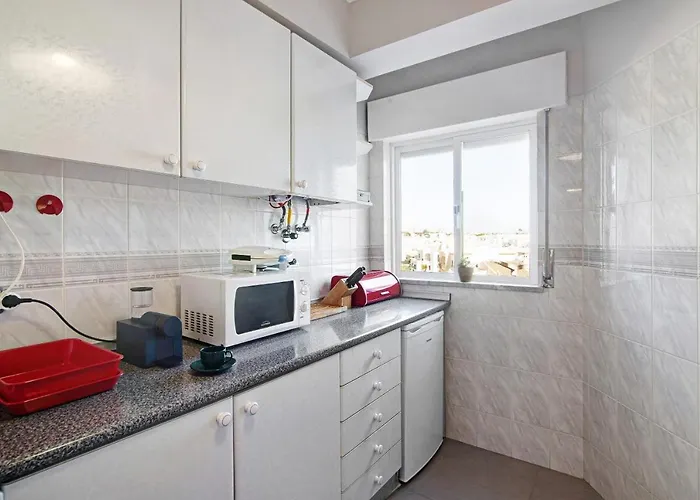 Palmeira 아파트 *